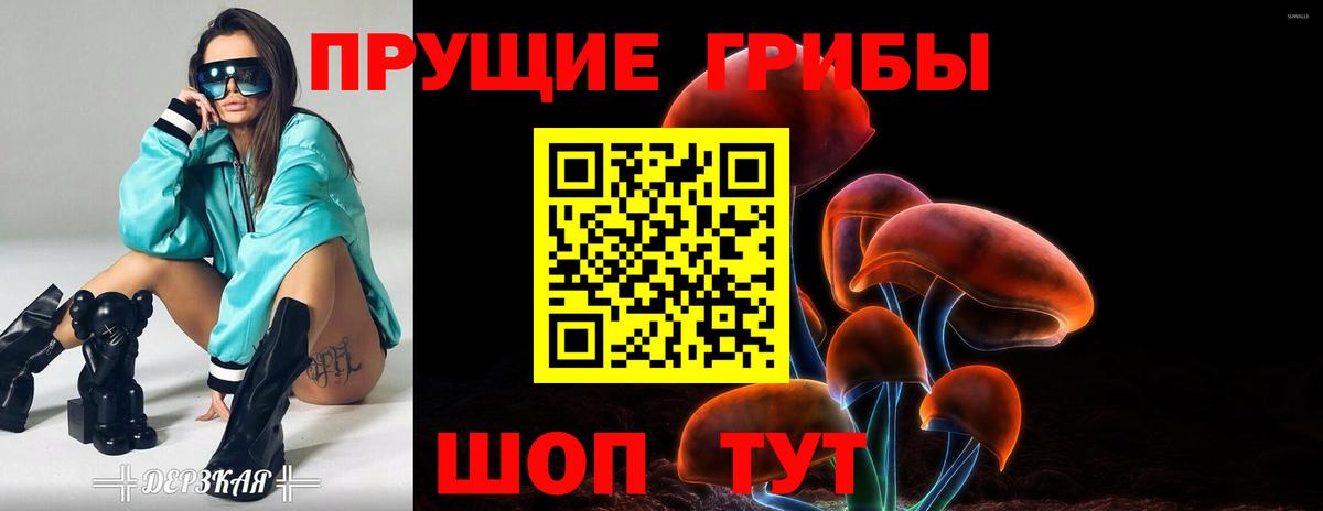Отрадный  Галлюциногенные грибы Cubensis  Вход с VPN 